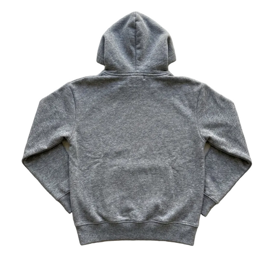 Grey Apexsnow hoodie