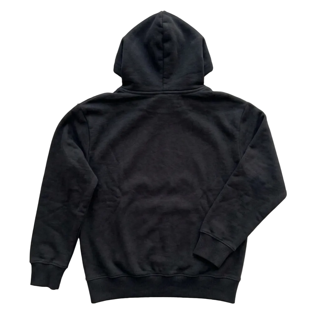 Apexsnow hoodie