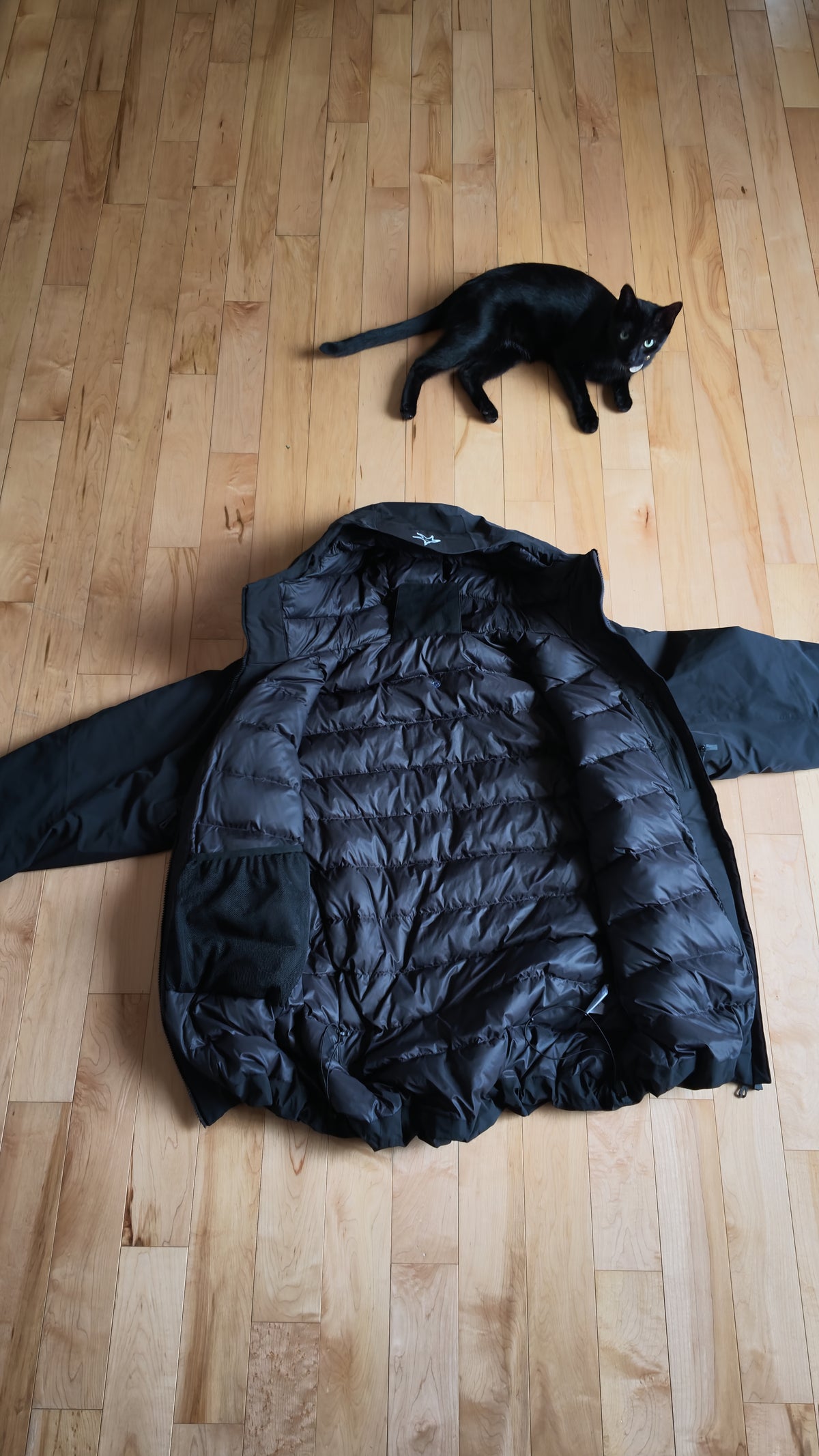 Obsidian ski jacket